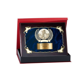 Plaque avec pastille et...