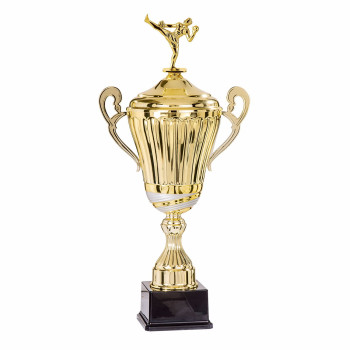 Coupe Ligne Prestige avec...